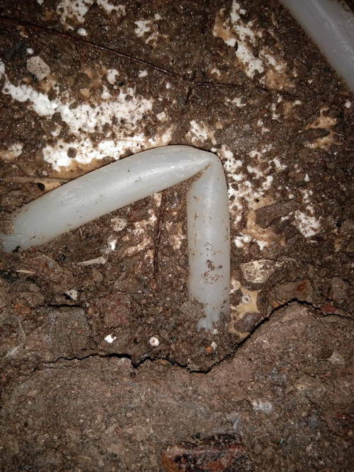 凤山堵点精准查找